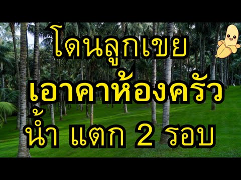 เรื่องสั้น นิยายเสียง หนุ่มวัยทำงานกับแม่ยายขี้อ้อน🐰