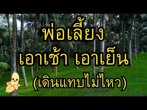 เรื่องสั้น นิยายเสียง พ่อคำพันกับสาวขี้อ้อน🐰